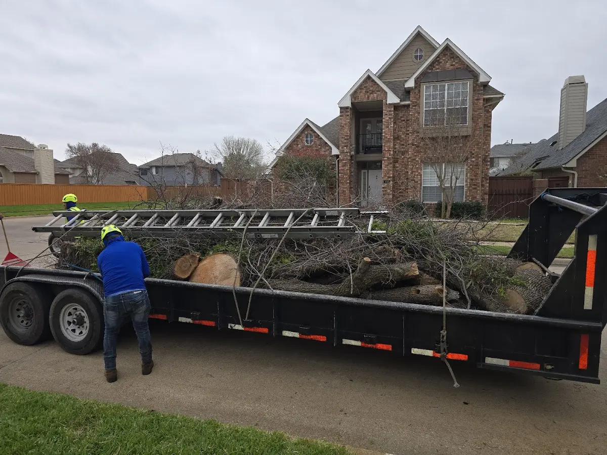 Expert Tree Fertilization with proper safety equipment in Tallevast
